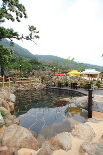 자연스러운 돌수영장