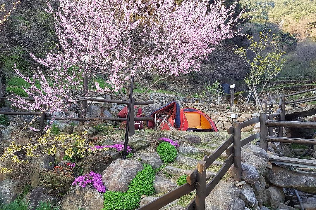 화개 · 지리산 관문